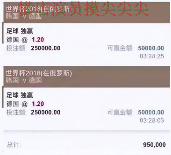 世界杯直播专栏：世界杯投注平台推荐玩法指南+直播全面深度评测
